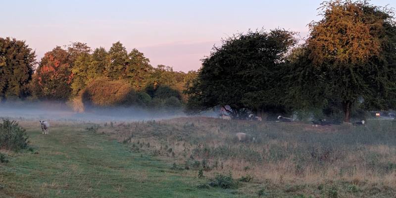 Barton Seagrave Parish photo of Castle field in the mist